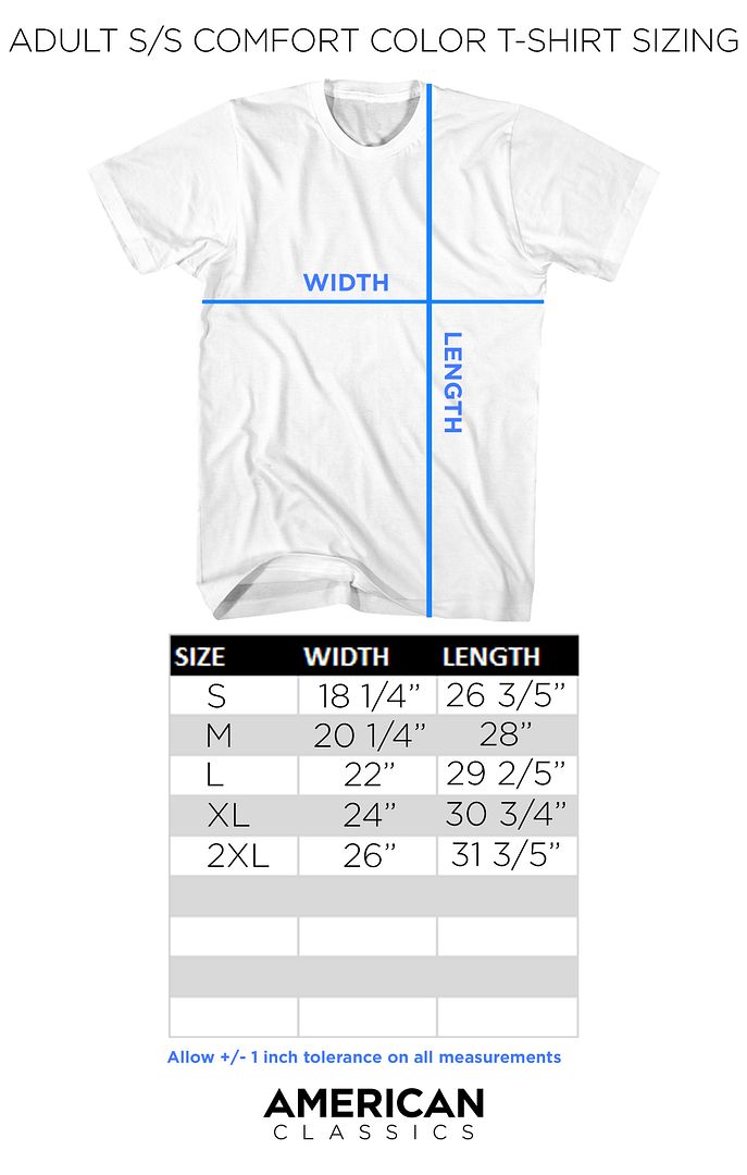 Pink Floyd - The Wall Bricks - American Classics - Gray Solid Adult Short Sleeve Comfort Color T-Shirt