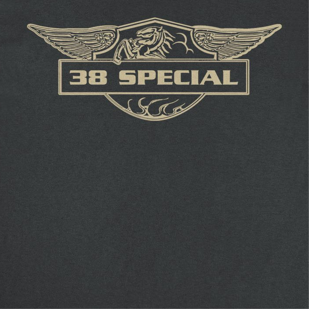 38 Special Emblem Gold Mens T Shirt Black Hoodie, Sweatshirt | CiraTrend.com (Image 2)