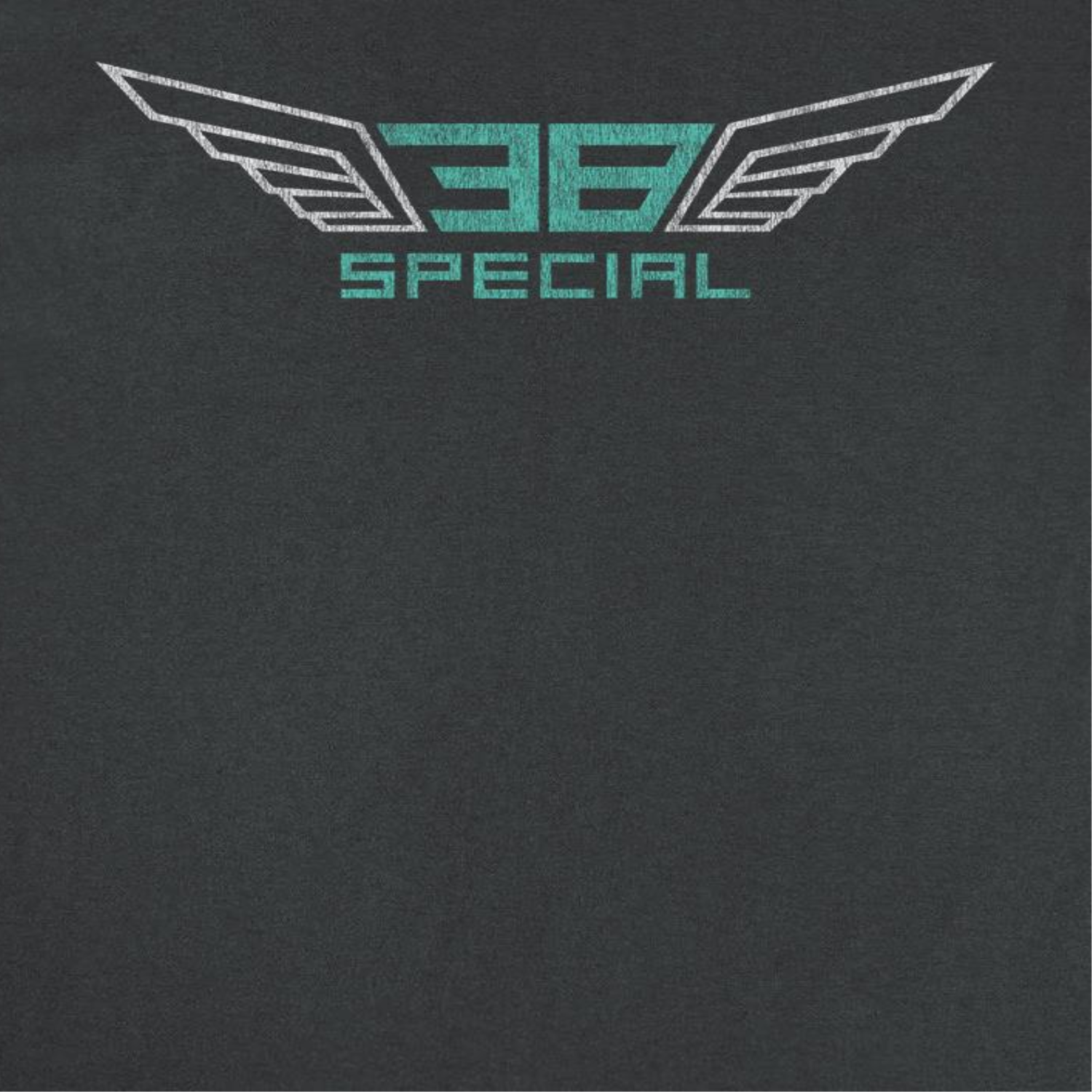 38 Special Wings White and Teal Mens T Shirt Black Hoodie, Sweatshirt | CiraTrend.com (Image 2)