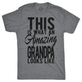 This Is What An Amazing Grandpa Looks Like Men's T Shirt Hoodie, Sweatshirt | CiraTrend.com (Image 1)