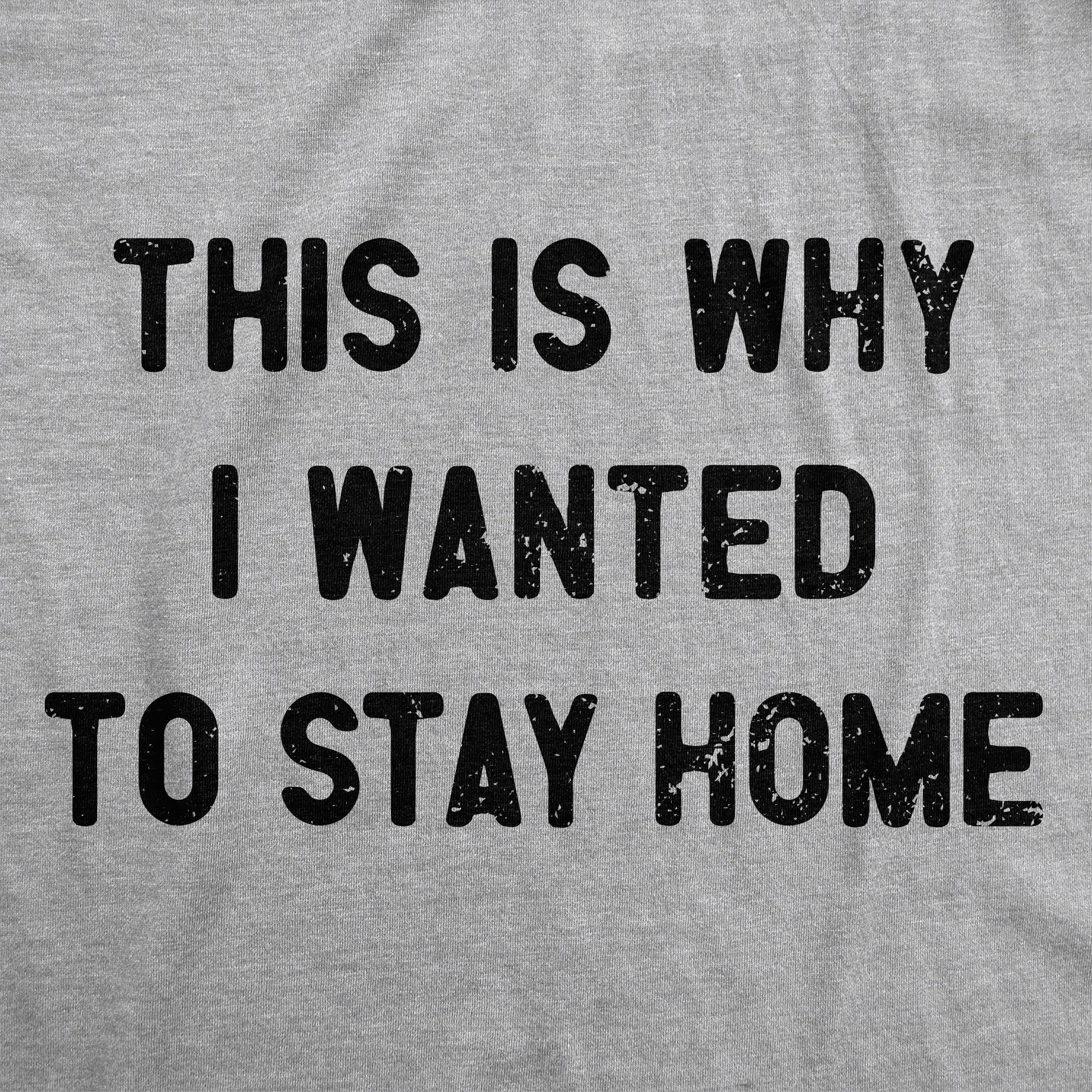 This Is Why I Wanted To Stay Home Women's T Shirt Hoodie, Sweatshirt | CiraTrend.com (Image 2)