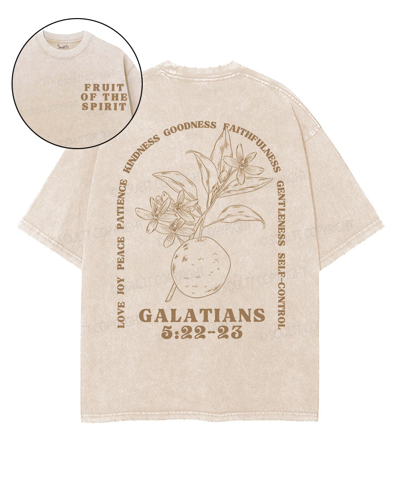 Fruit Of The Spirit Double Sided Unisex Washed Christian T-shirt Style017 Hoodie, Sweatshirt | CiraTrend.com (Image 1)