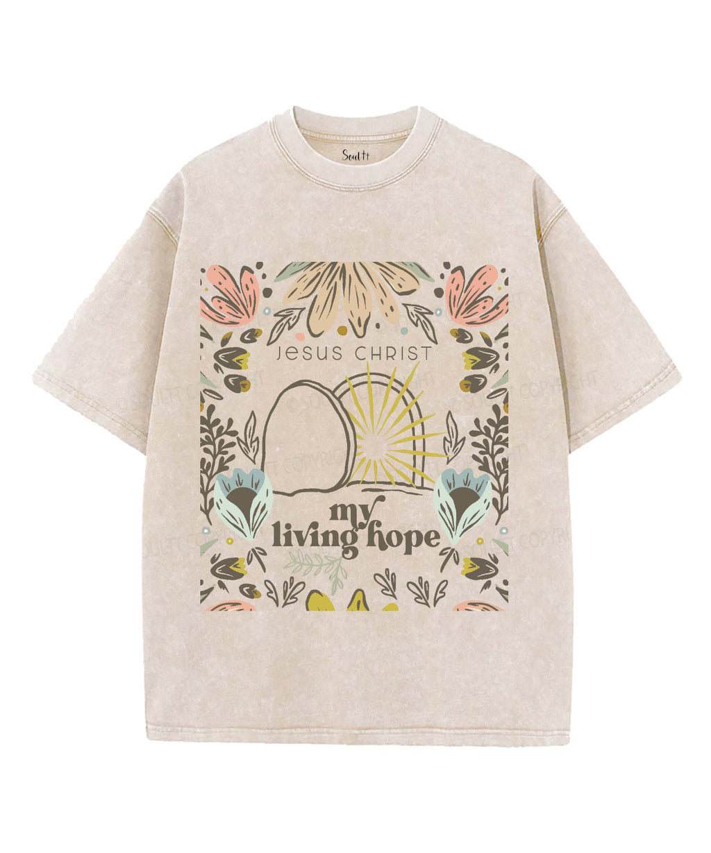 My Living Hope Unisex Washed Christian T-shirt Hoodie, Sweatshirt | CiraTrend.com (Image 4)