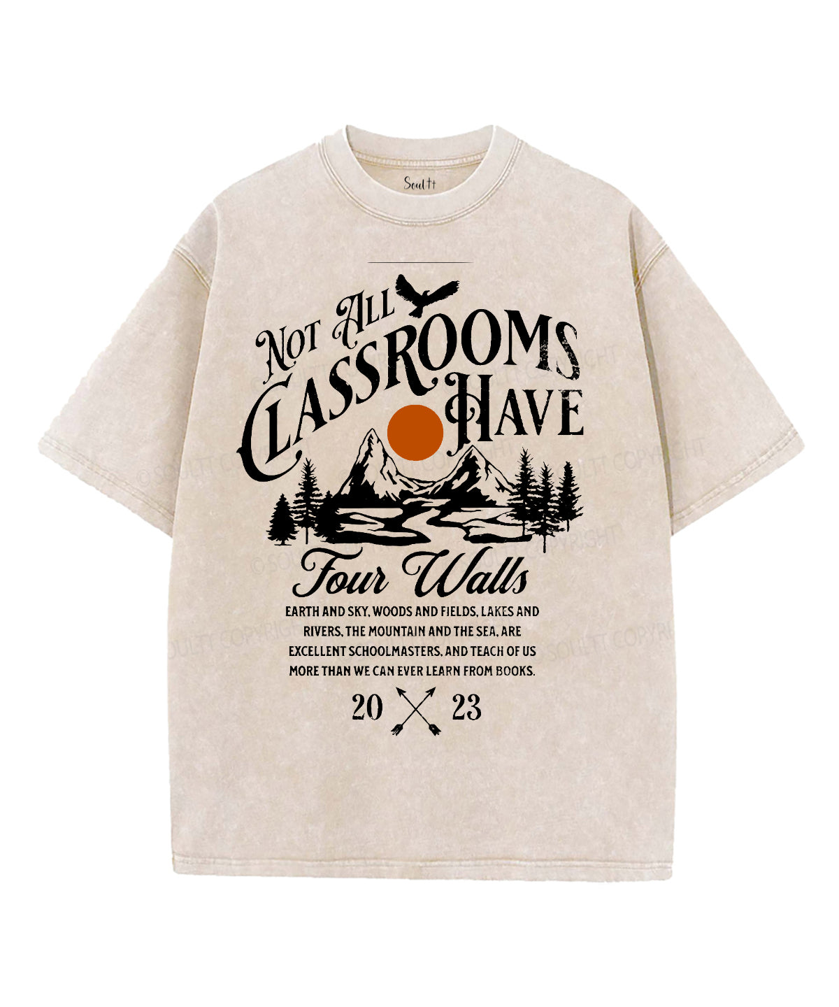 Not All Classrooms Unisex Washed Christian T-shirt Hoodie, Sweatshirt | CiraTrend.com (Image 2)