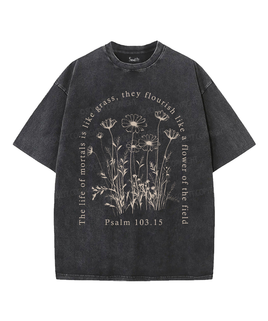 The Life Of Mortals Is Like Grass Unisex Washed Christian T-shirt Hoodie, Sweatshirt | CiraTrend.com (Image 1)