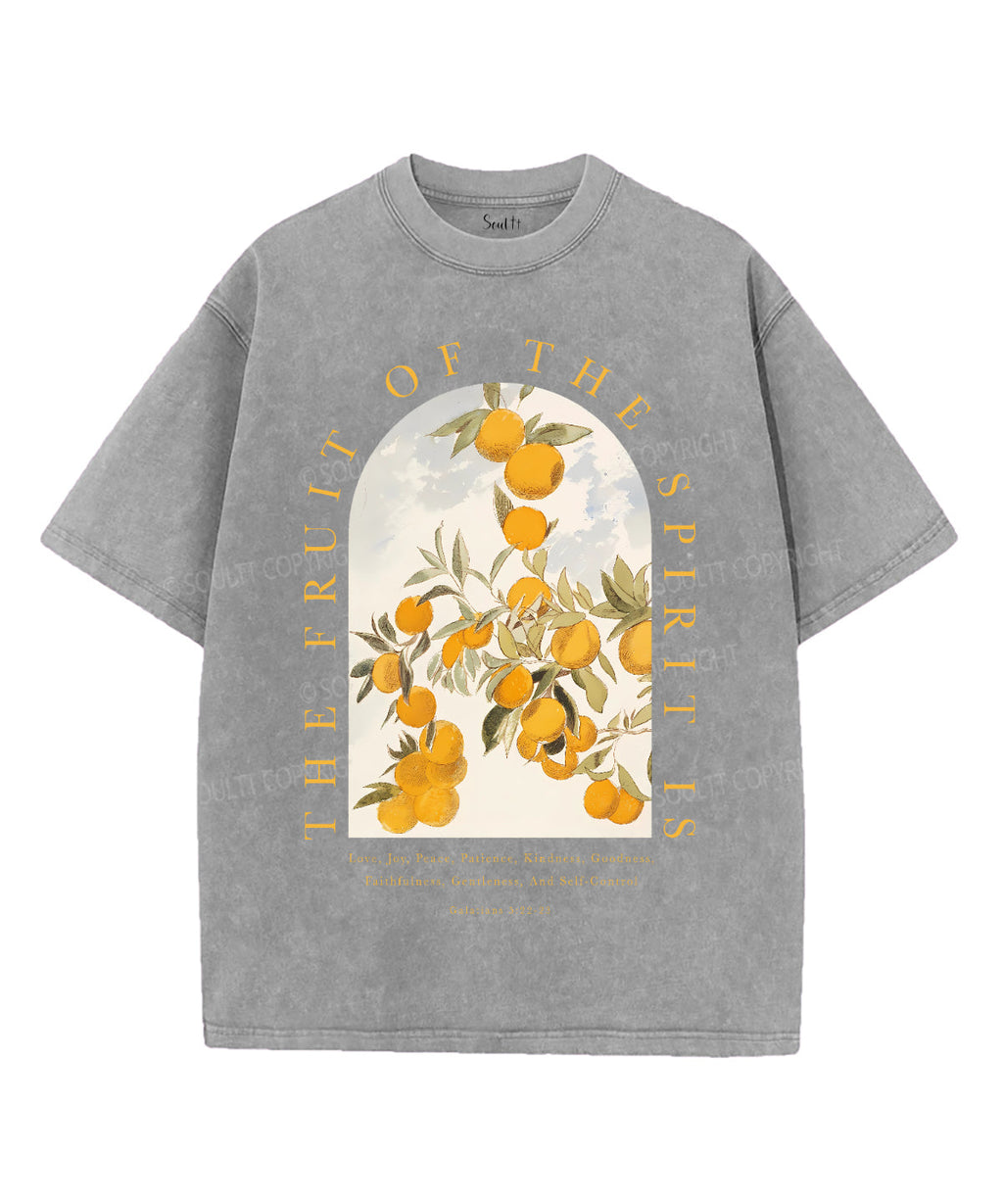 The Fruit Of The Spirit Unisex Washed Christian T-shirt Style001 Hoodie, Sweatshirt | CiraTrend.com (Image 2)