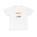 I AM not GAY Tee Hoodie, Sweatshirt | CiraTrend.com (Image 1)