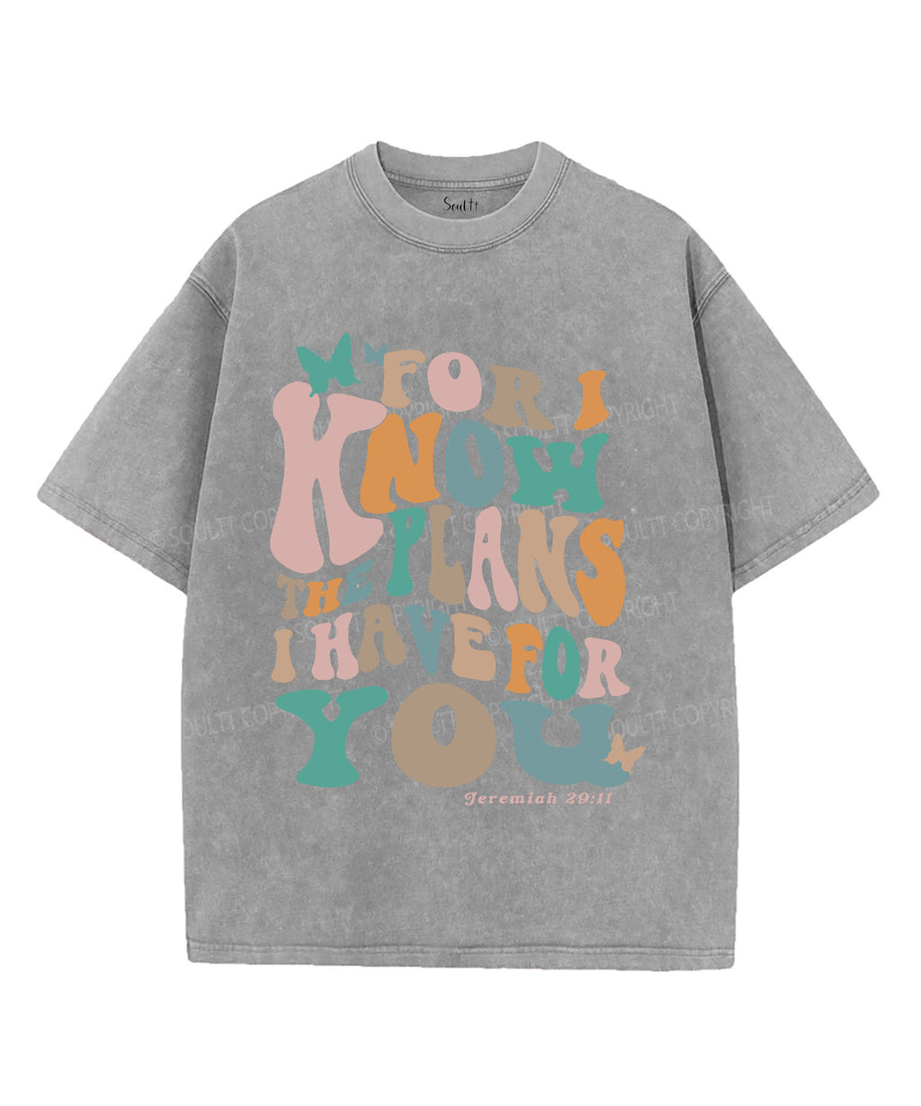 The Plan I Have For You Unisex Washed Christian T-shirt Hoodie, Sweatshirt | CiraTrend.com (Image 2)