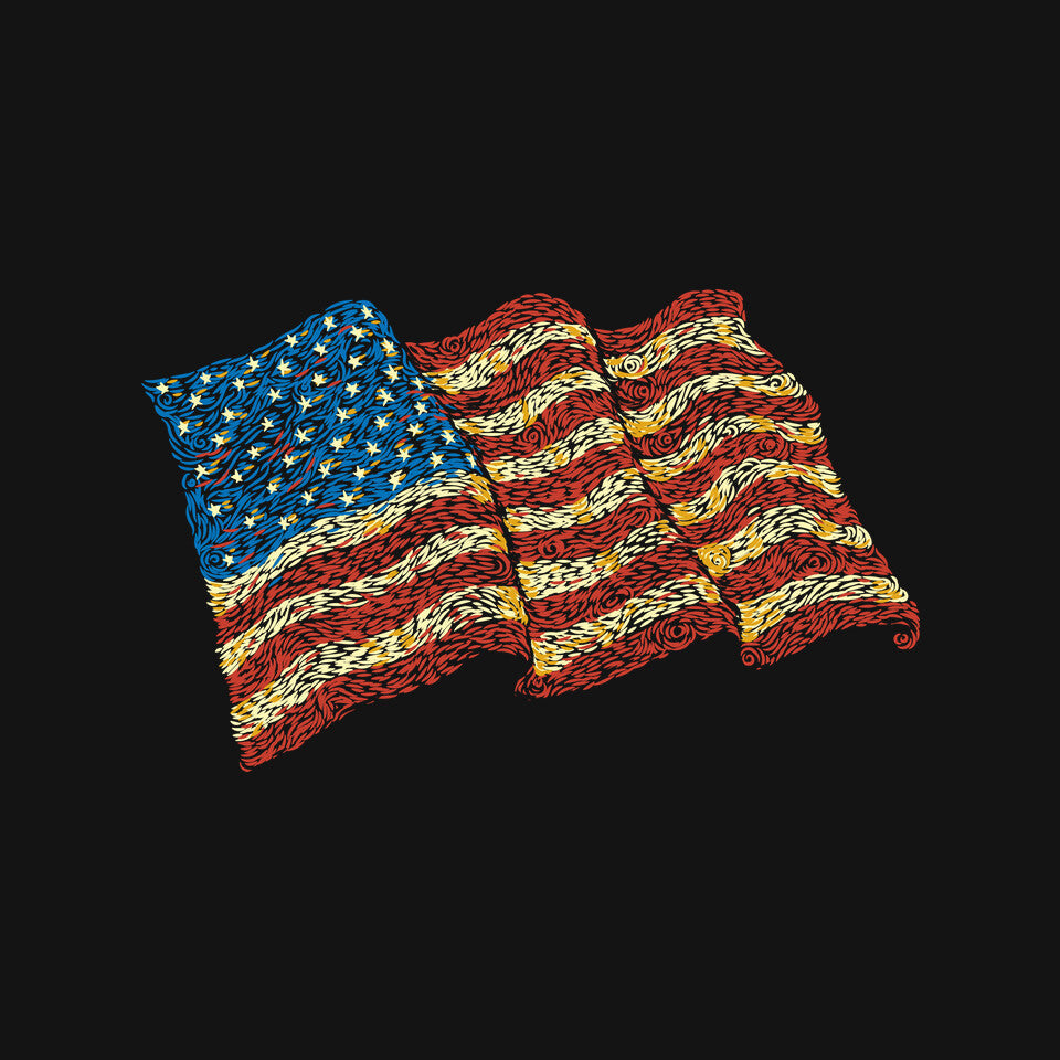 American Flag Freedom Impressionist