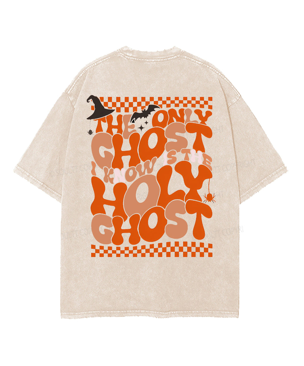 The Only Ghost Unisex Washed Christian T-shirt Hoodie, Sweatshirt | CiraTrend.com (Image 2)