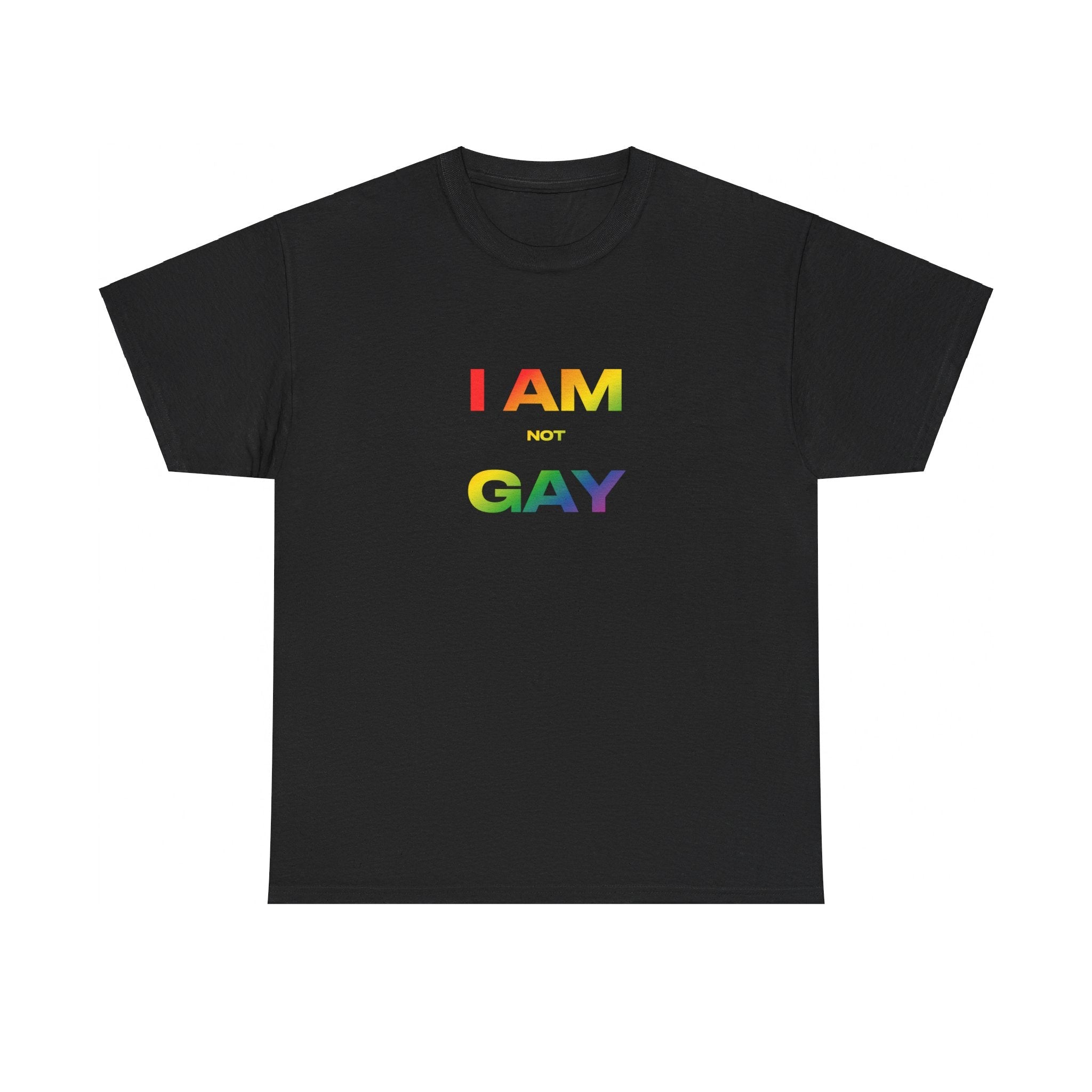 I AM not GAY Tee Hoodie, Sweatshirt | CiraTrend.com (Image 2)