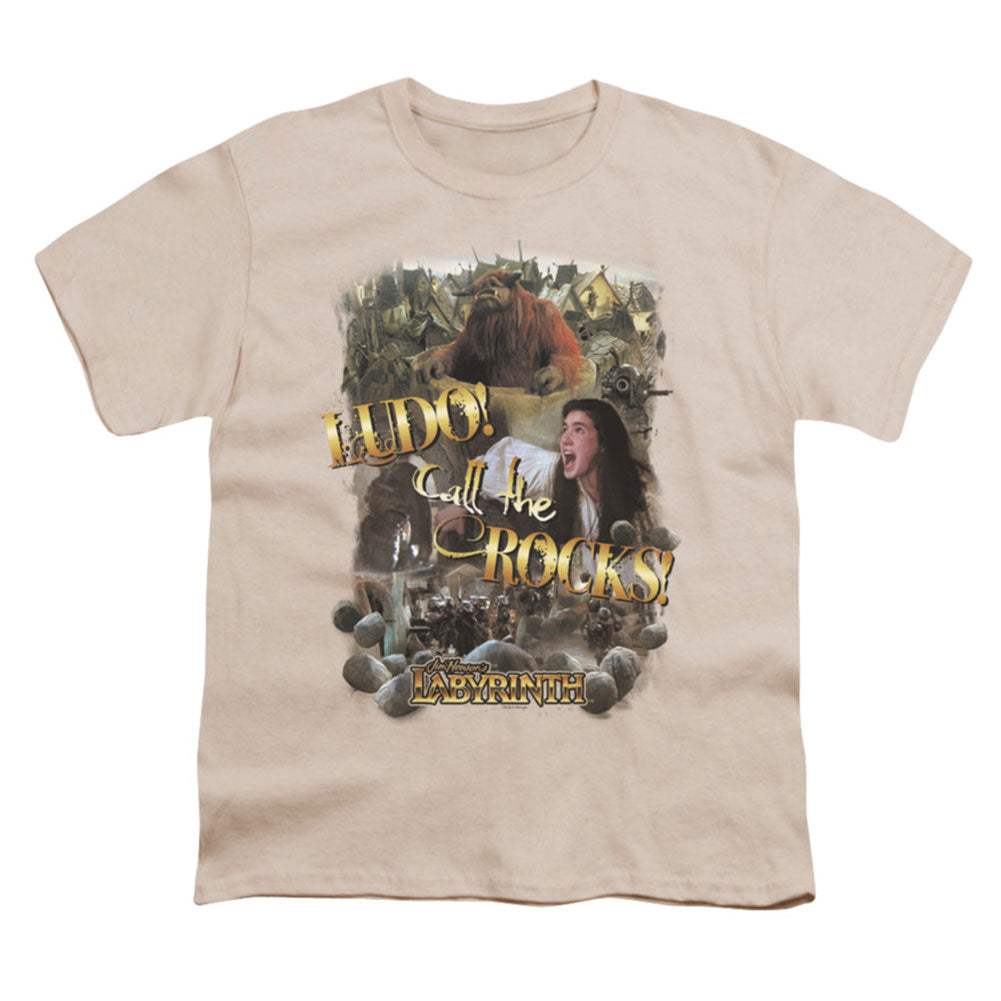 Call The Rocks Youth T-shirt Hoodie, Sweatshirt | CiraTrend.com