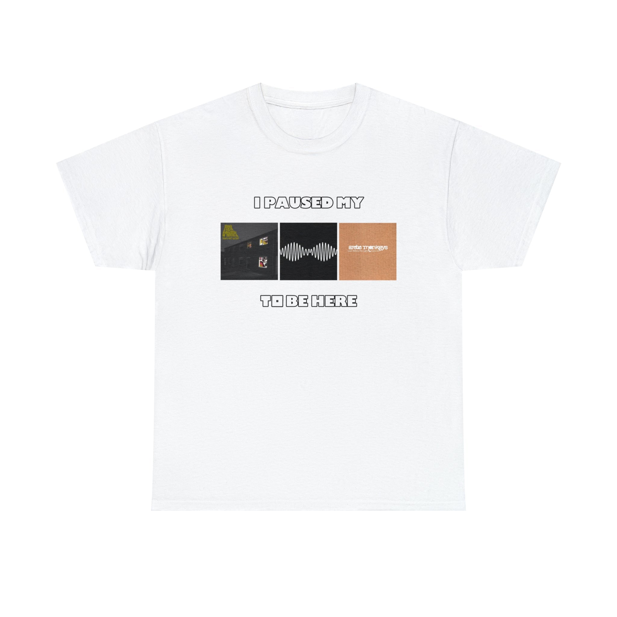 I Paused My Arctic T-Shirts, Hoodie, Sweatshirt
