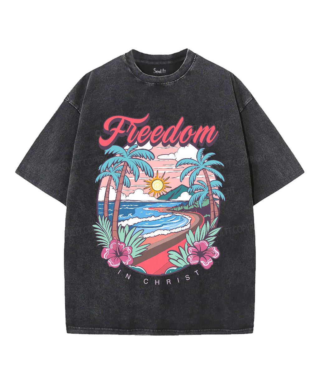 Freedom In Christ Unisex Washed Christian T-shirt Style001 Hoodie, Sweatshirt | CiraTrend.com (Image 1)