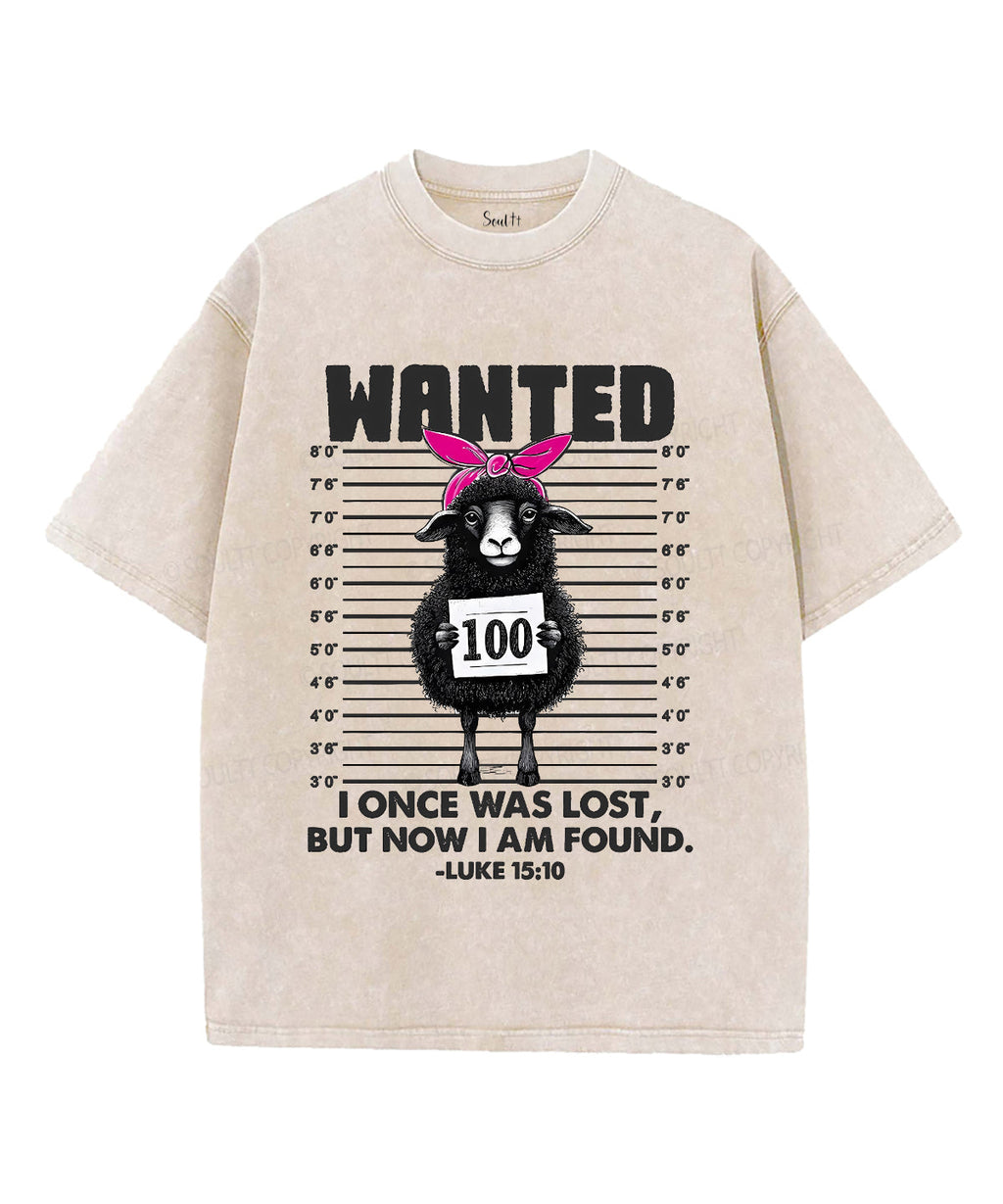 Wanted Unisex Washed Christian T-shirt Hoodie, Sweatshirt | CiraTrend.com (Image 2)