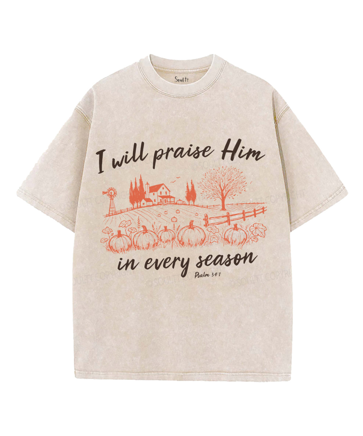 I Will Praise Him Unisex Washed Christian T-shirt Hoodie, Sweatshirt | CiraTrend.com (Image 2)