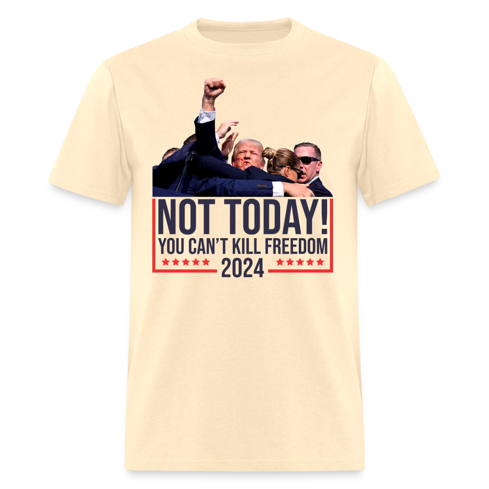 Not Today You Can't Kill Freedom T Shirt Hoodie, Sweatshirt | CiraTrend.com (Image 3)
