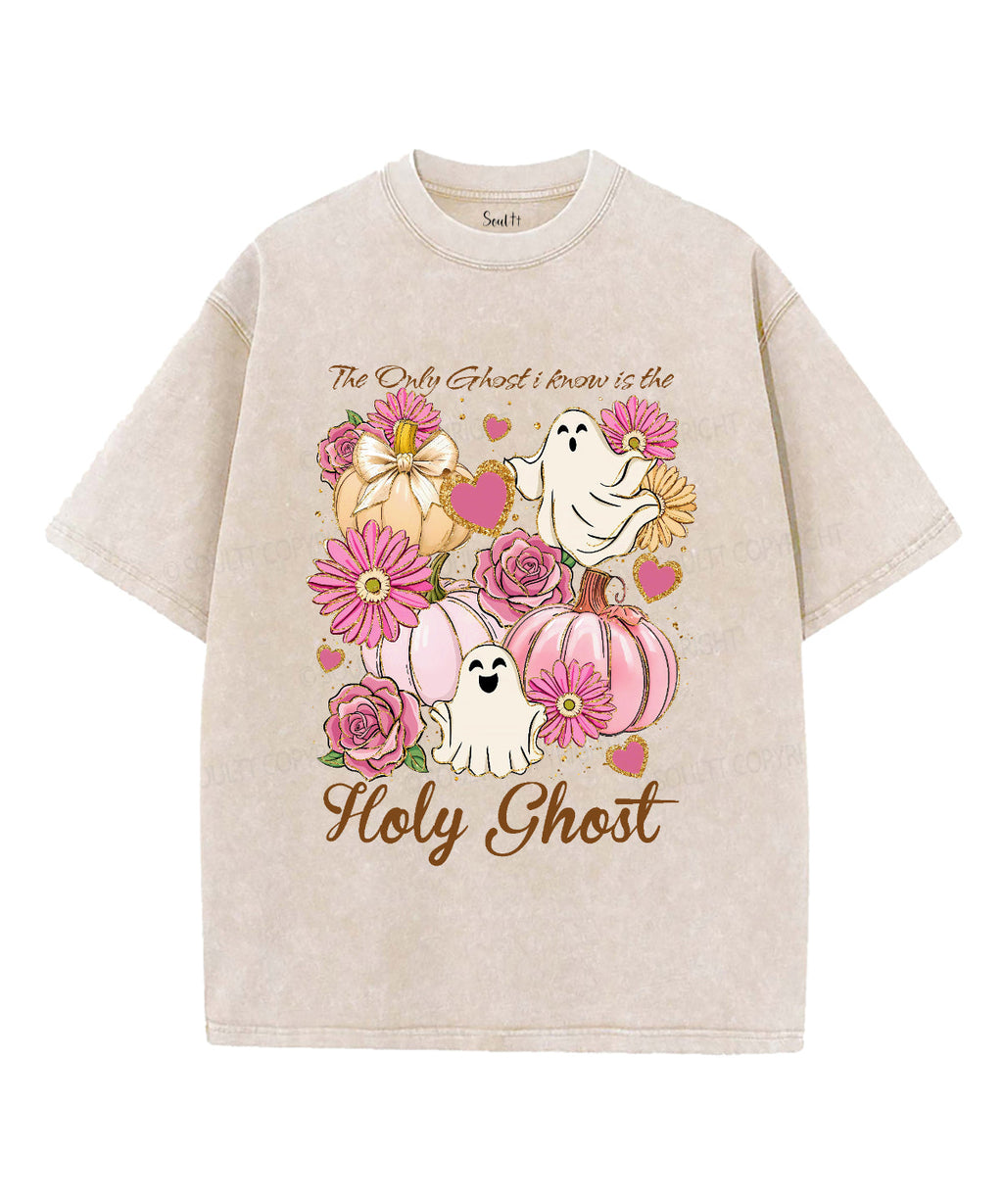 The Only Ghost Is Holy Ghost Unisex Washed Christian T-shirt Hoodie, Sweatshirt | CiraTrend.com (Image 1)