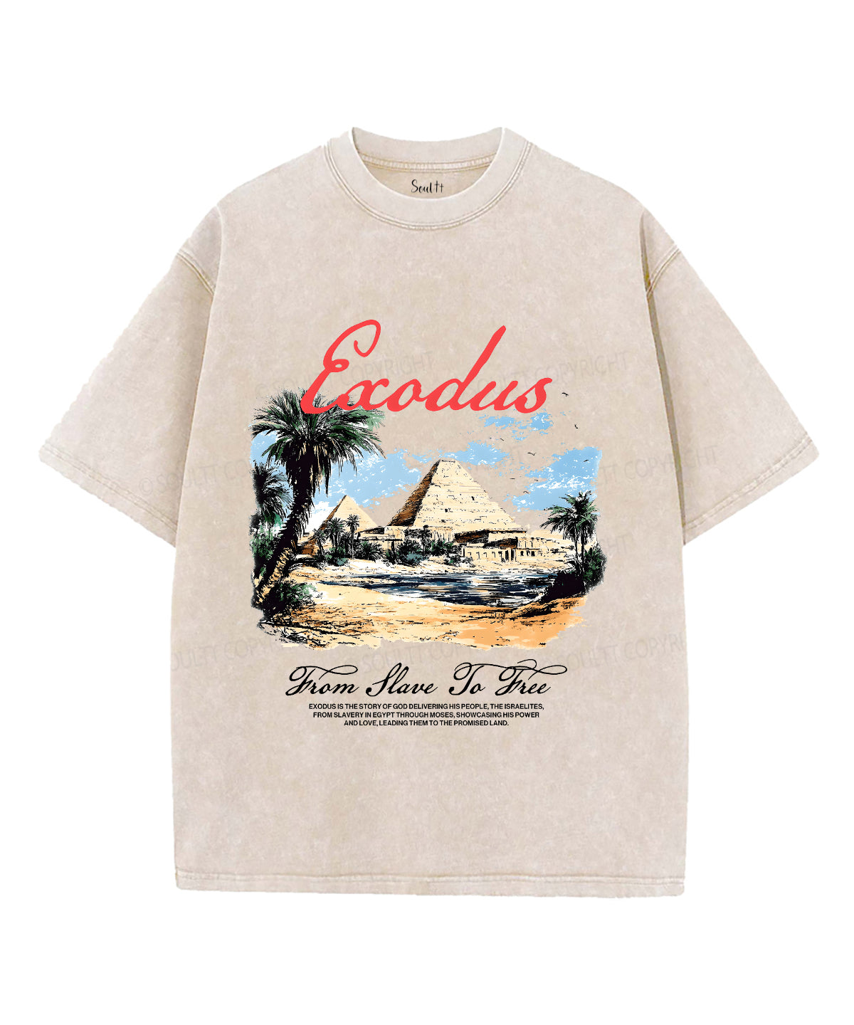Exodus Unisex Washed Christian T-shirt Hoodie, Sweatshirt | CiraTrend.com (Image 4)
