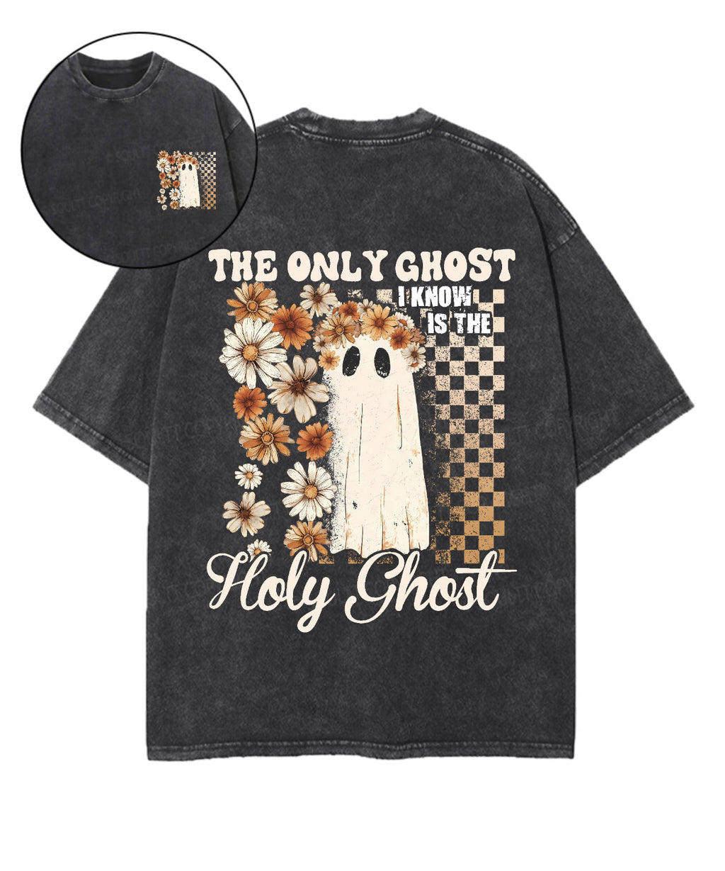 The Only Ghost I Know Is The Holy Ghost Double Sided Unisex Washed Christian T-shirt Hoodie, Sweatshirt (Image 1)