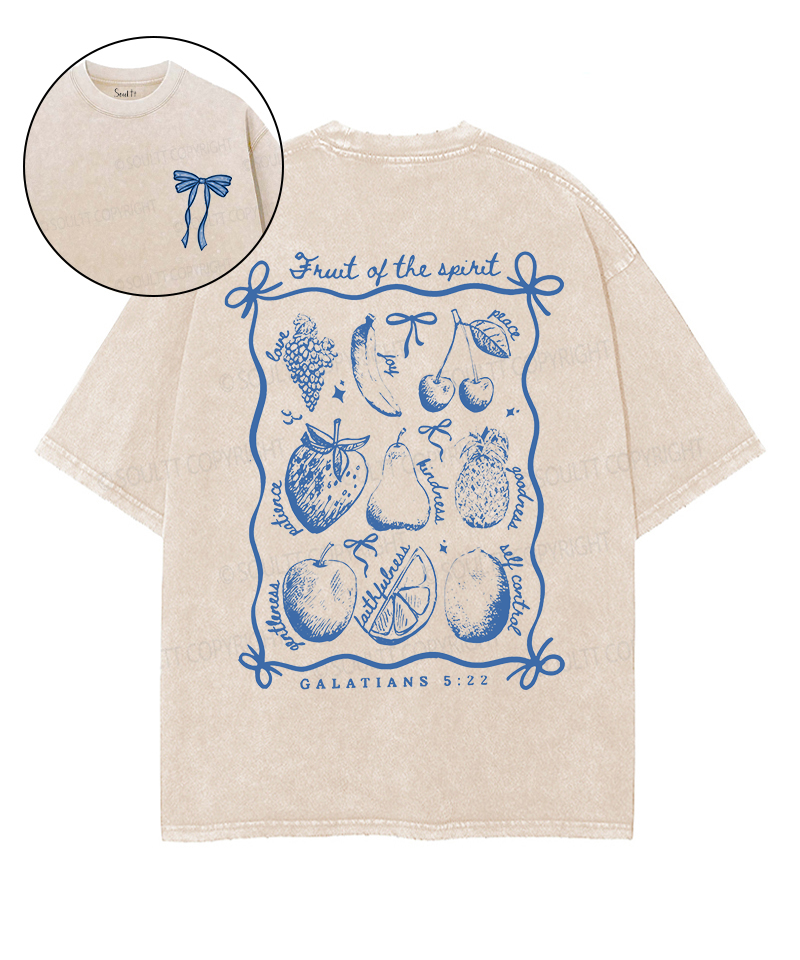 Fruit Of The Spirit Double Sided Unisex Washed Christian T-shirt Style023 Hoodie, Sweatshirt | CiraTrend.com (Image 1)