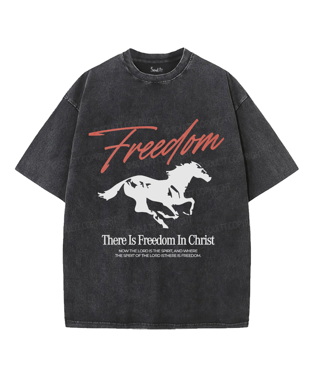 Freedom Unisex Washed Christian T-shirt Hoodie, Sweatshirt | CiraTrend.com (Image 2)