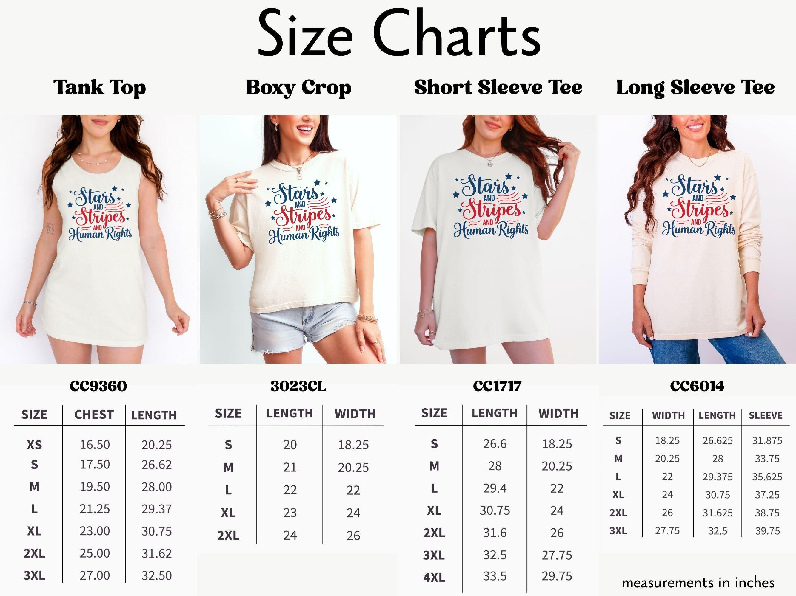 Stars Stripes Human Rights Comfort Colors Tee 250 Years America Still Working Social Justice (3)