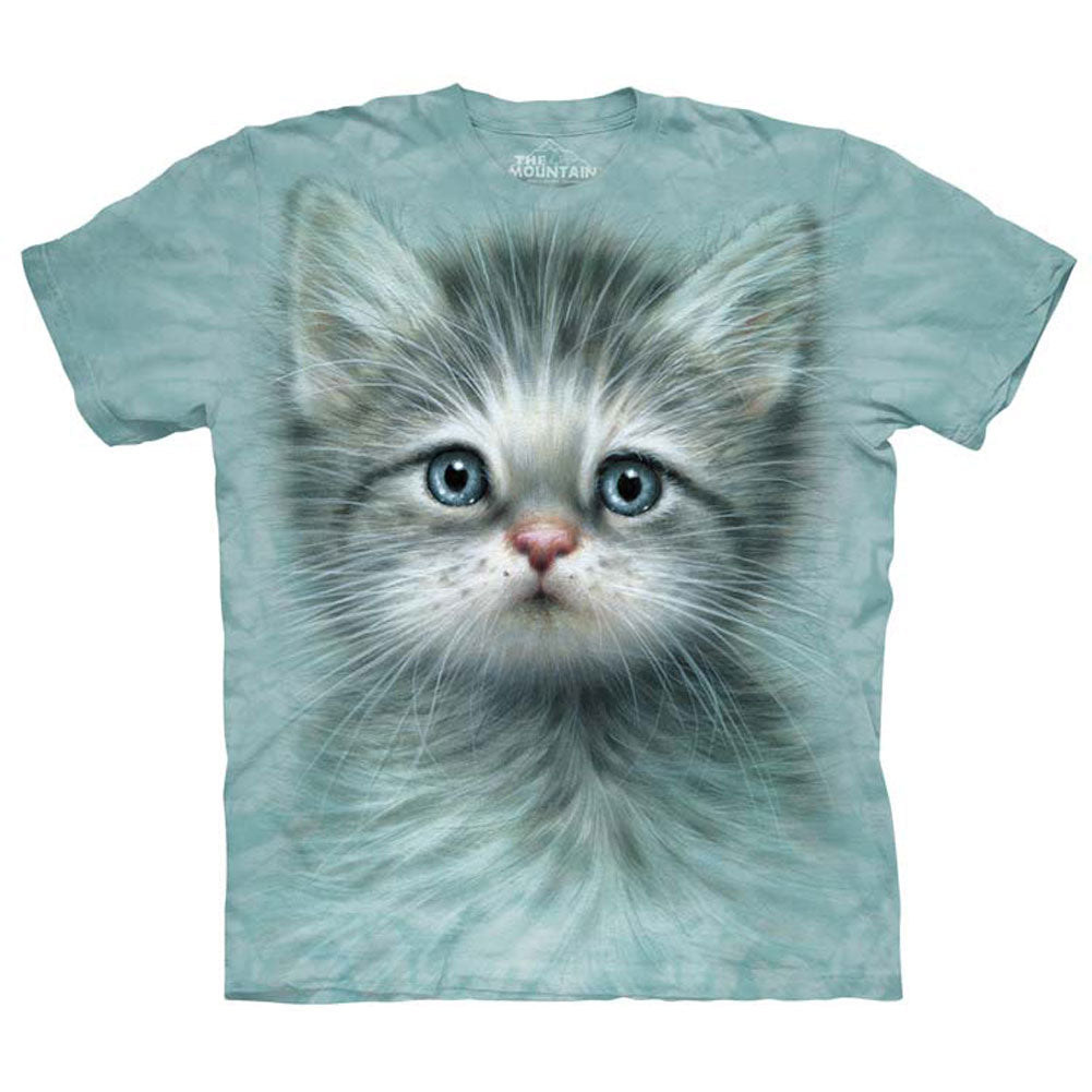 Blue Eyed Kitten Small T-shirt Hoodie, Sweatshirt | CiraTrend.com