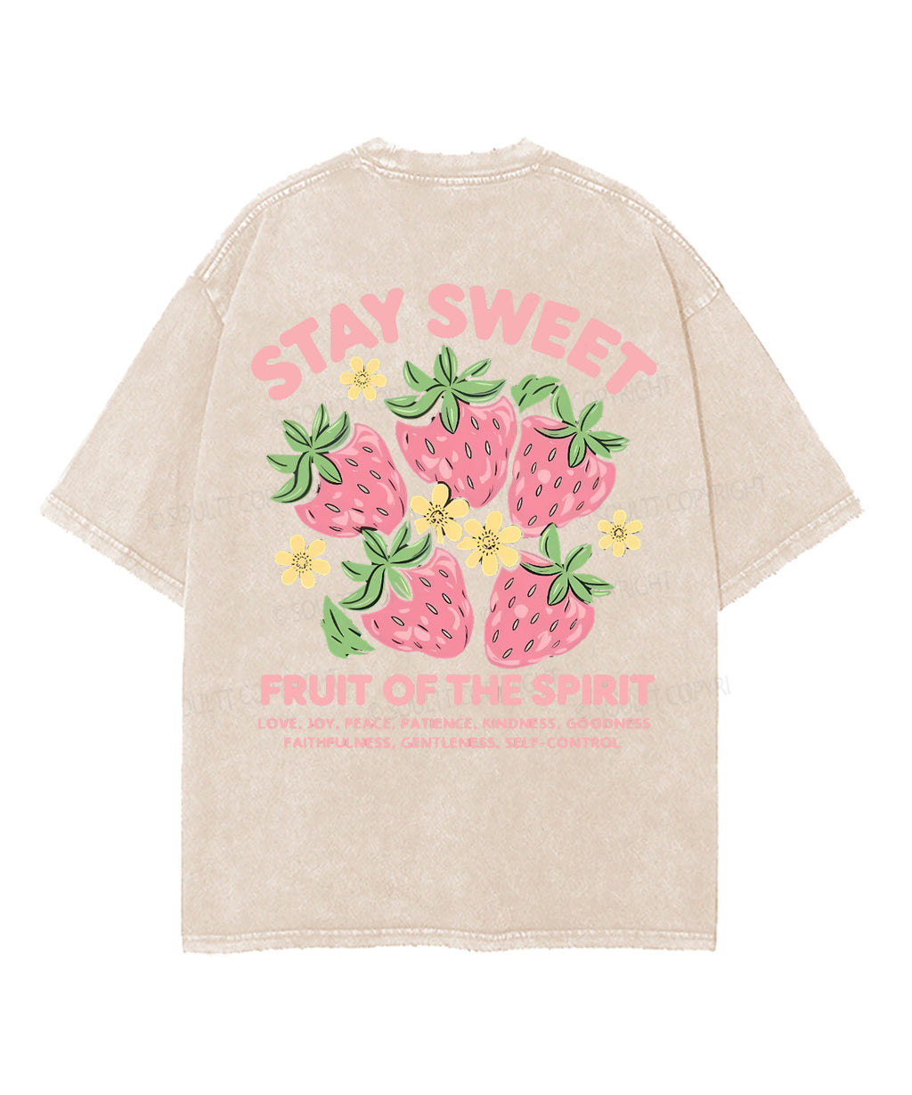 Fruit Of The Spirit Double Sided Unisex Washed Christian T-shirt Style029 Hoodie, Sweatshirt | CiraTrend.com (Image 2)