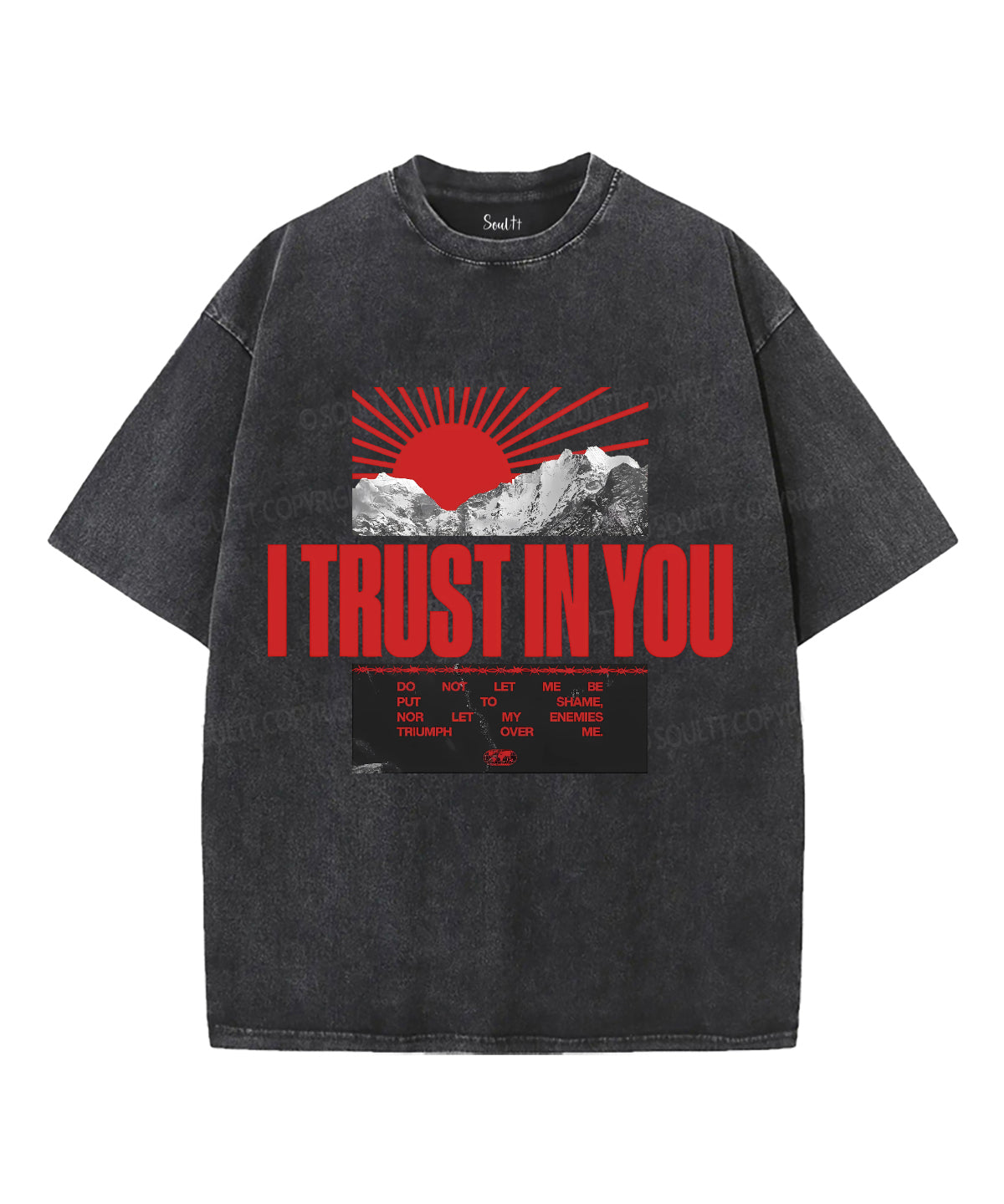 I Trust In You Unisex Washed Christian T-shirt Hoodie, Sweatshirt | CiraTrend.com (Image 2)