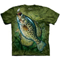 Crappie T-shirt Hoodie, Sweatshirt | CiraTrend.com