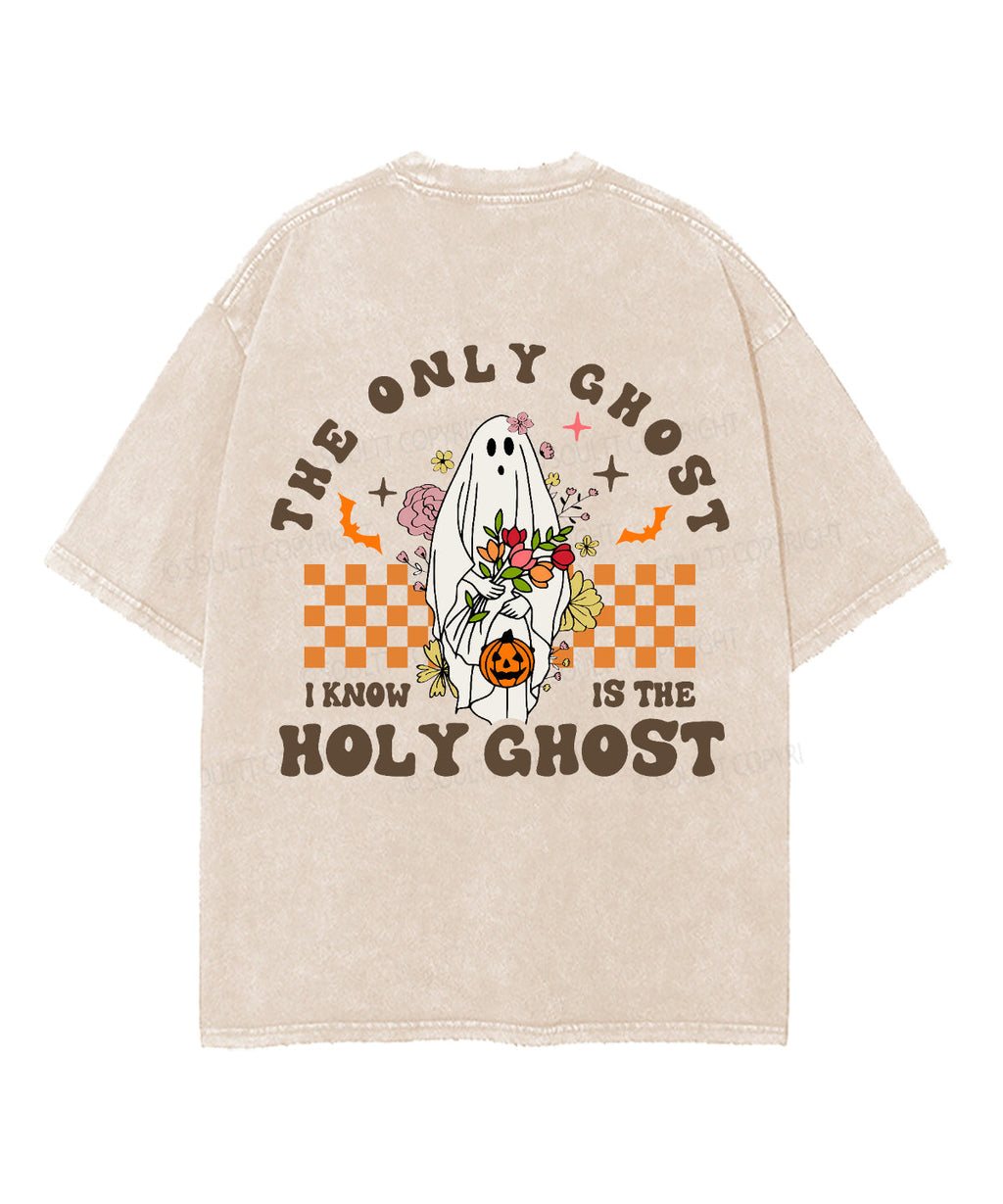 The Only Ghost Double Sided Unisex Washed Christian T-shirt Hoodie, Sweatshirt | CiraTrend.com (Image 3)
