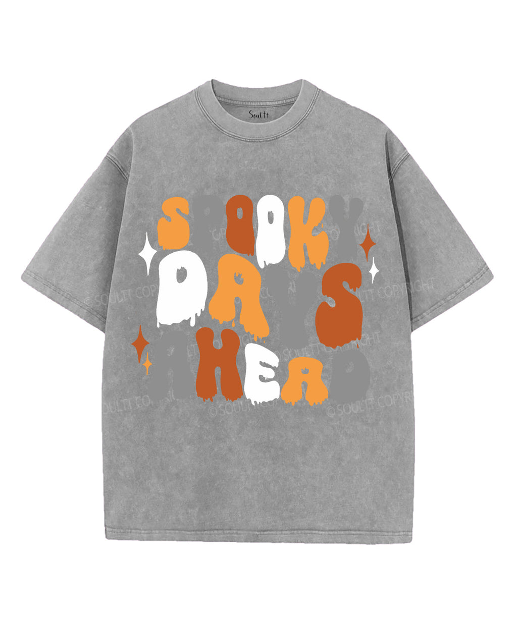 Spooky Days Ahead Unisex Washed Christian T-shirt Hoodie, Sweatshirt | CiraTrend.com (Image 5)