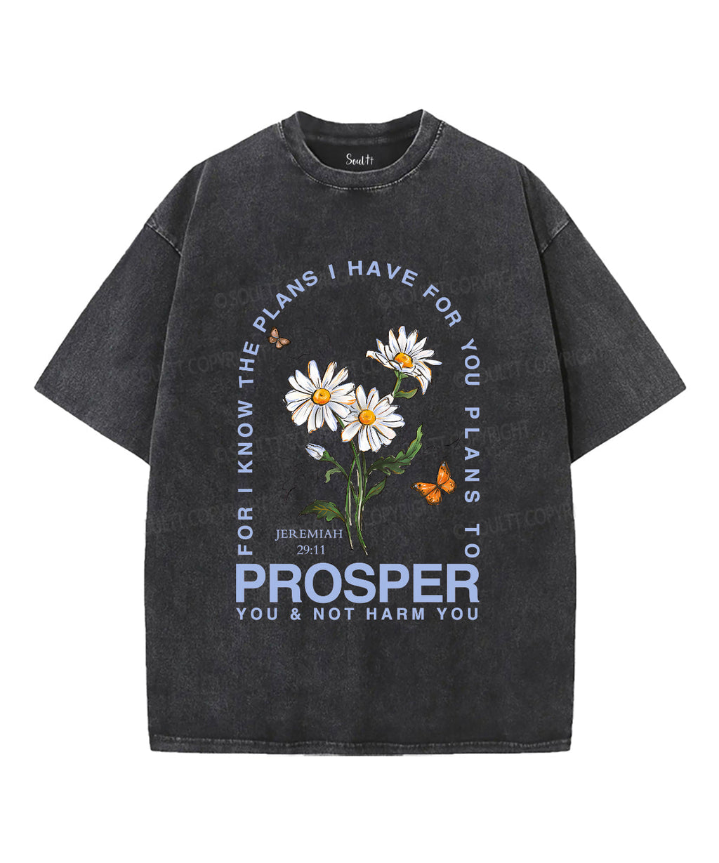 The Plans I Have For You Unisex Washed Christian T-shirt Style003 Hoodie, Sweatshirt | CiraTrend.com (Image 1)