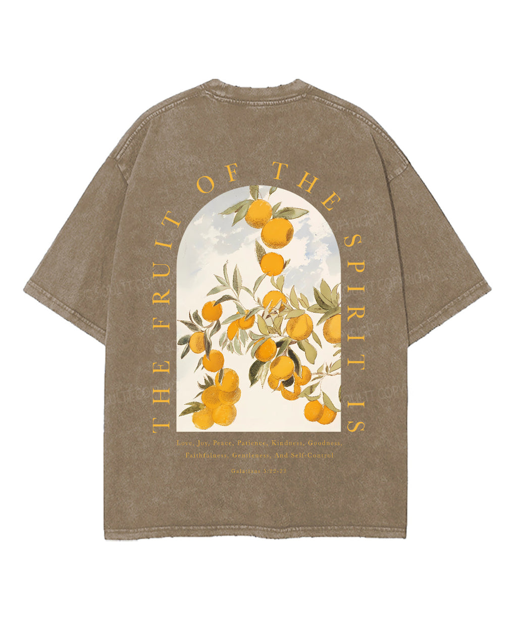 Fruit Spirit Washed Christian T-Shirts, Hoodie, Sweatshirt
