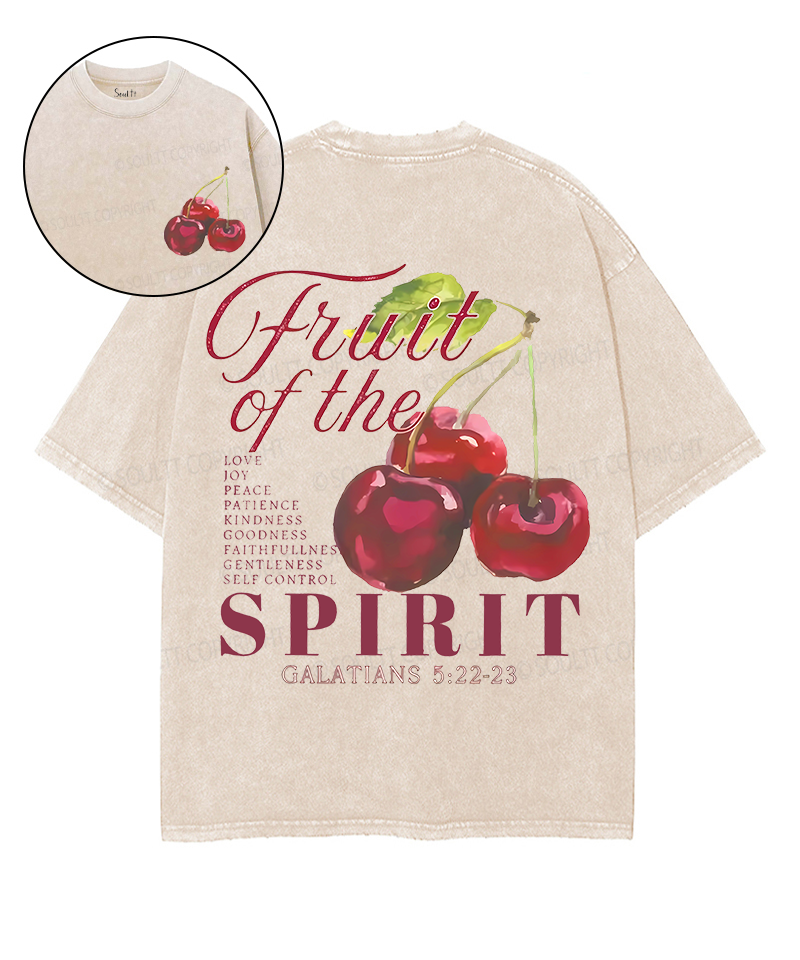 Fruit Spirit Double Sided Washed Christian Style028 T-Shirts, Hoodie, Sweatshirt