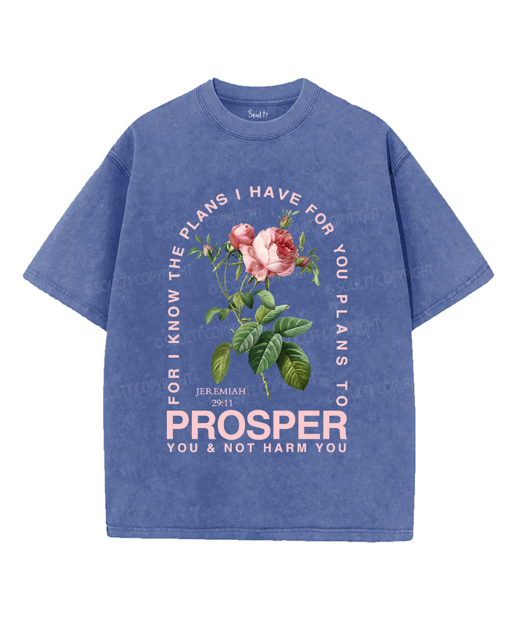 The Plans I Have For You Unisex Washed Christian T-shirt Style001 Hoodie, Sweatshirt | CiraTrend.com (Image 3)