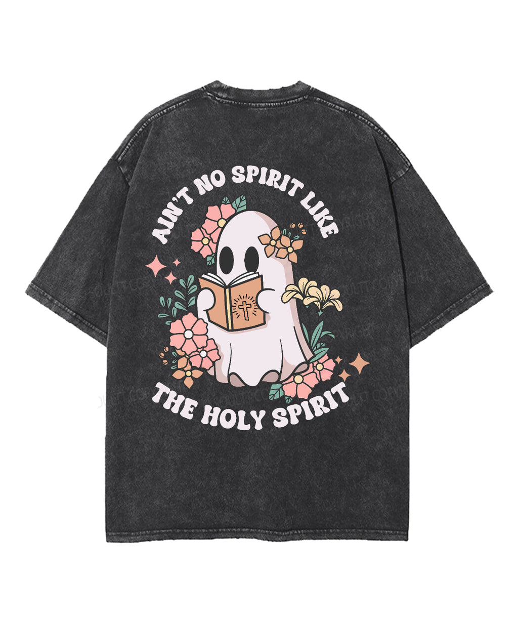 Ain't No Spirit Like The Holy Spirit Double Sided Unisex Washed Christian T-shirt Hoodie, Sweatshirt (Image 3)