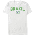 Brazil Flag T-shirt Hoodie, Sweatshirt | CiraTrend.com