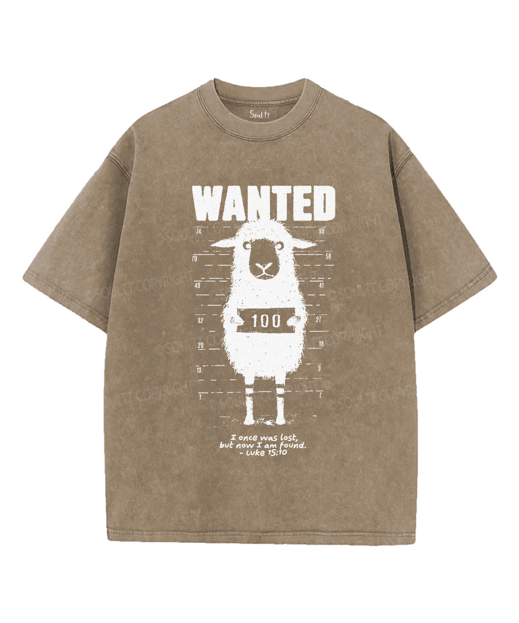 Now I Am Found Unisex Washed Christian T-shirt Hoodie, Sweatshirt | CiraTrend.com (Image 5)