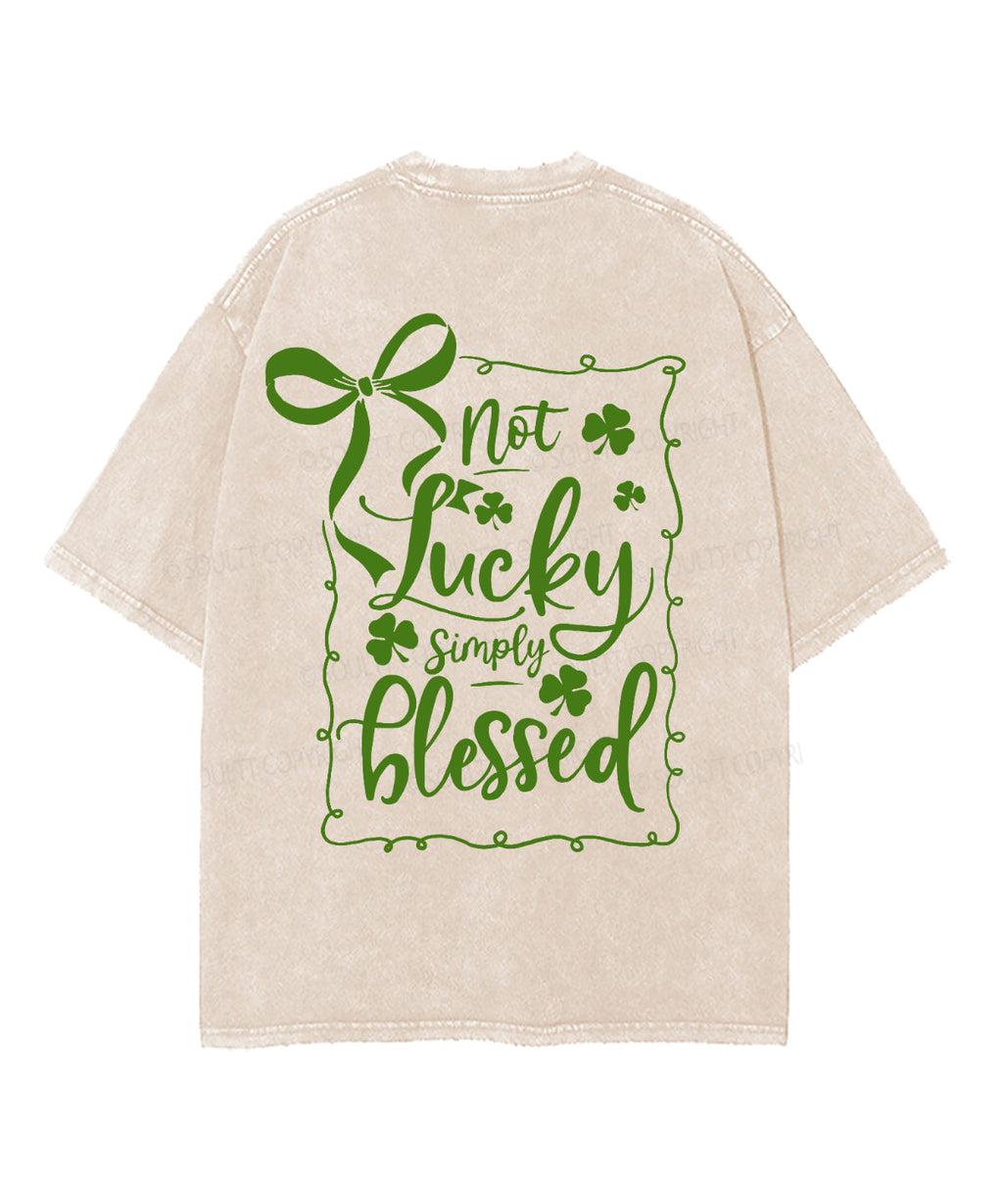 Not Lucky Simply Blessed Double Sided Unisex Washed Christian T-shirt Hoodie, Sweatshirt | CiraTrend.com (Image 3)
