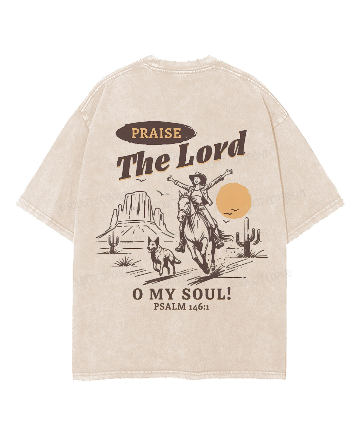 The Lord Praise Double Sided Unisex Washed Christian T-shirt Hoodie, Sweatshirt | CiraTrend.com (Image 4)