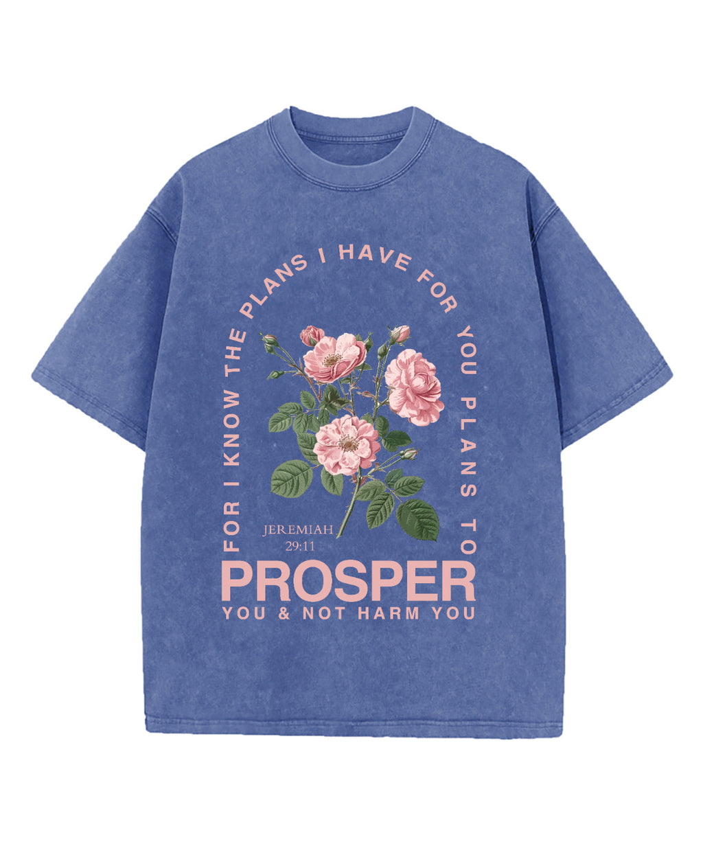 The Plans I Have For You Washed Christian T-shirt Hoodie, Sweatshirt | CiraTrend.com (Image 3)
