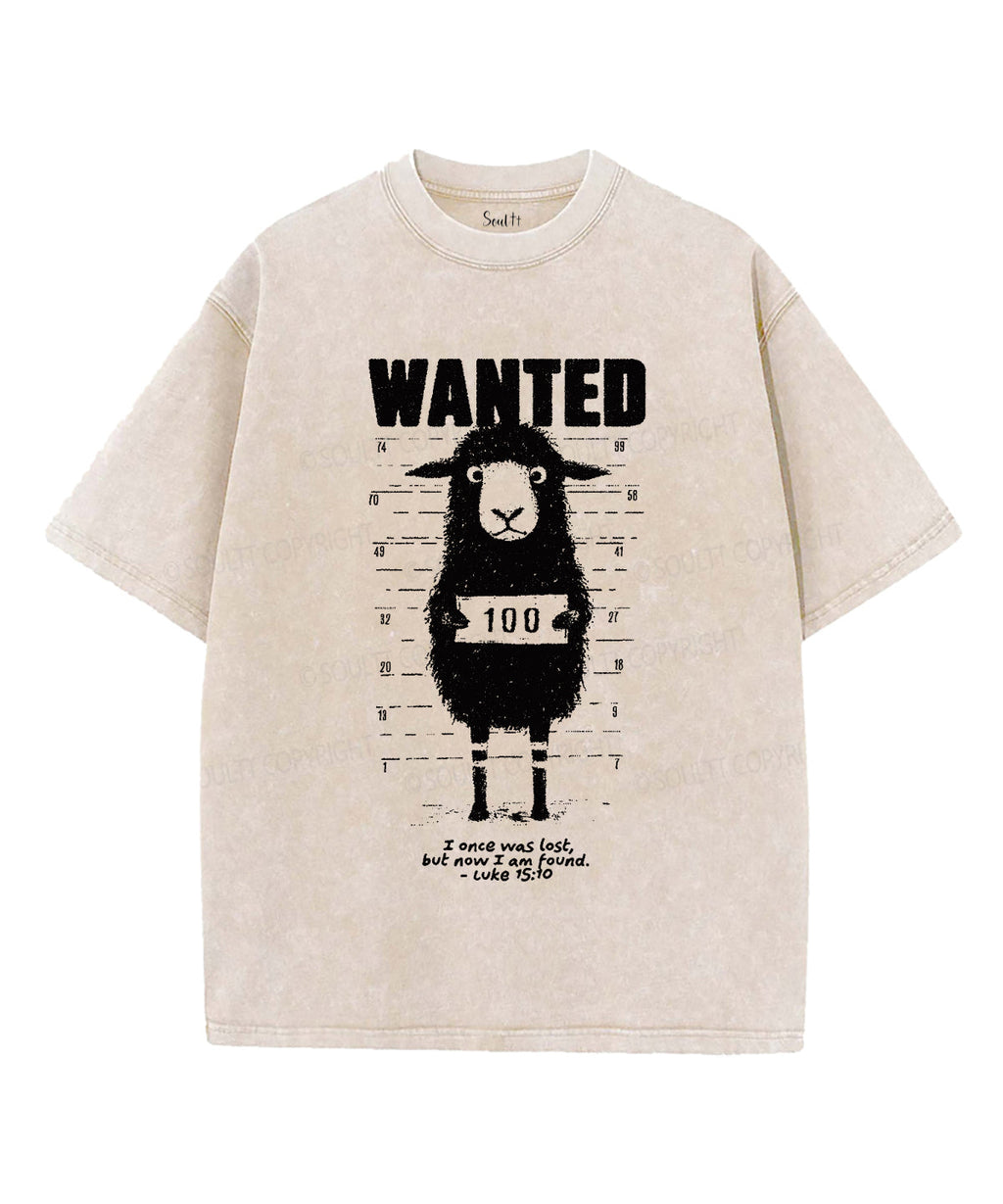 Now I Am Found Unisex Washed Christian T-shirt Hoodie, Sweatshirt | CiraTrend.com (Image 4)