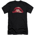 Classic Lips Premium Canvas Brand Slim Fit T-shirt Hoodie, Sweatshirt | CiraTrend.com