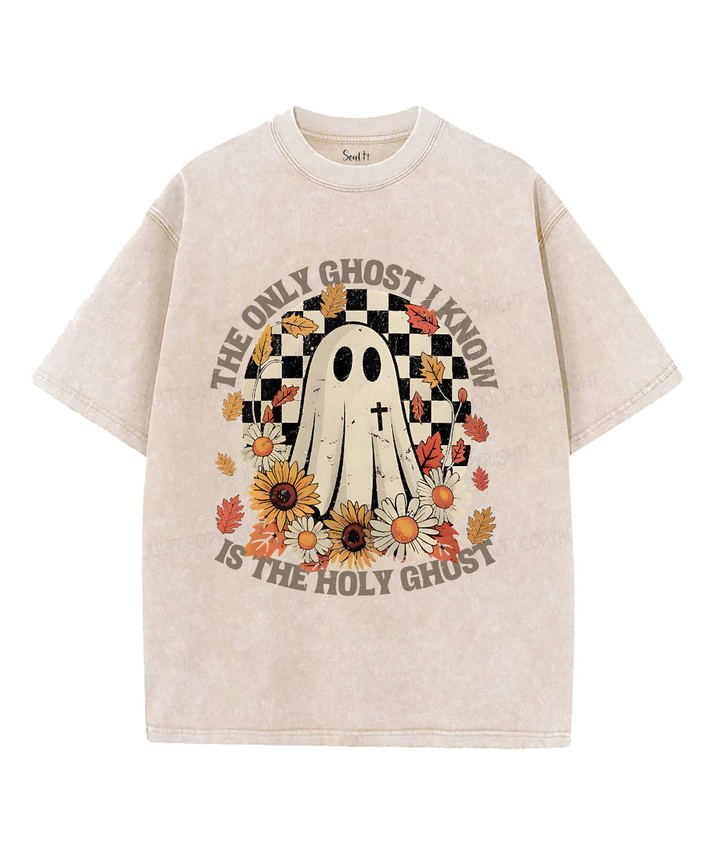 The Only Ghost Is Holy Ghost Unisex Washed Christian T-shirt Style001 Hoodie, Sweatshirt | CiraTrend.com (Image 2)