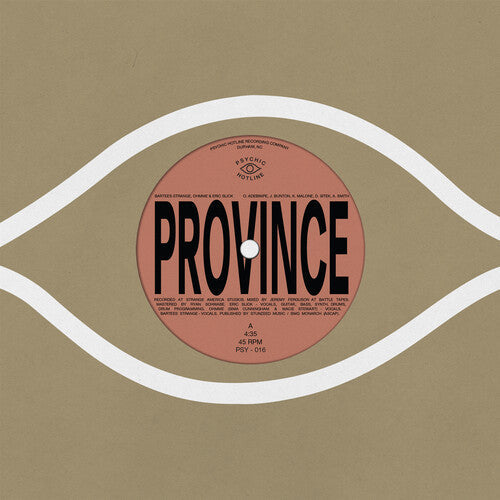 Bartees Strange - Province / Ever New Vinyl Record T-Shirts, Hoodie, Sweatshirt | CiraTrend.com