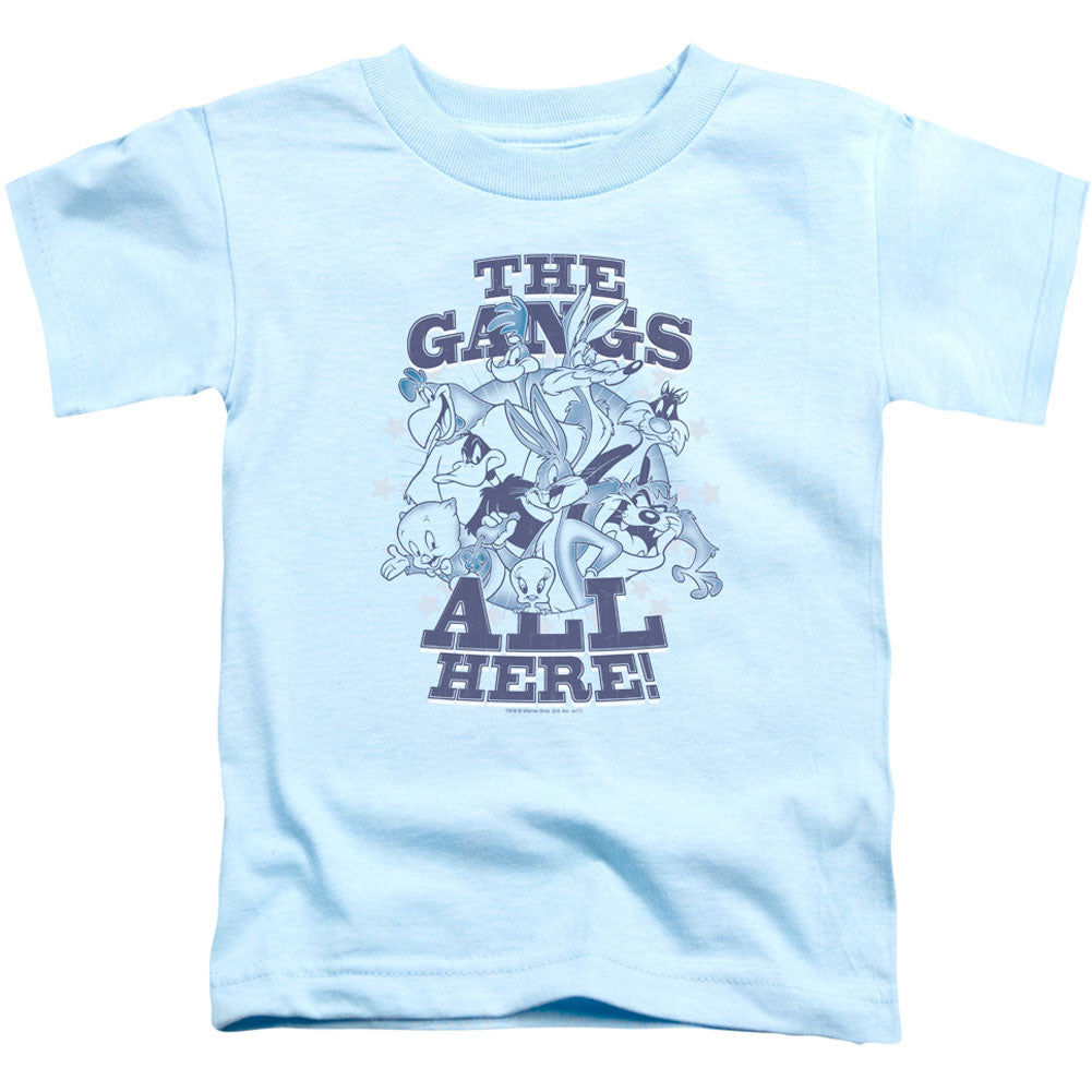 Blue Gang Toddler Childrens T-shirt Hoodie, Sweatshirt | CiraTrend.com