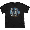 Division Bell Cover Youth T-shirt Hoodie, Sweatshirt | CiraTrend.com