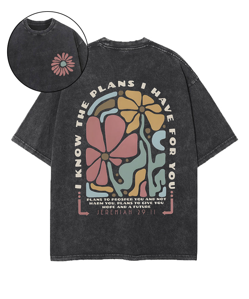 I Know the Plans Double Sided Unisex Washed Christian T-shirt Hoodie, Sweatshirt | CiraTrend.com (Image 1)